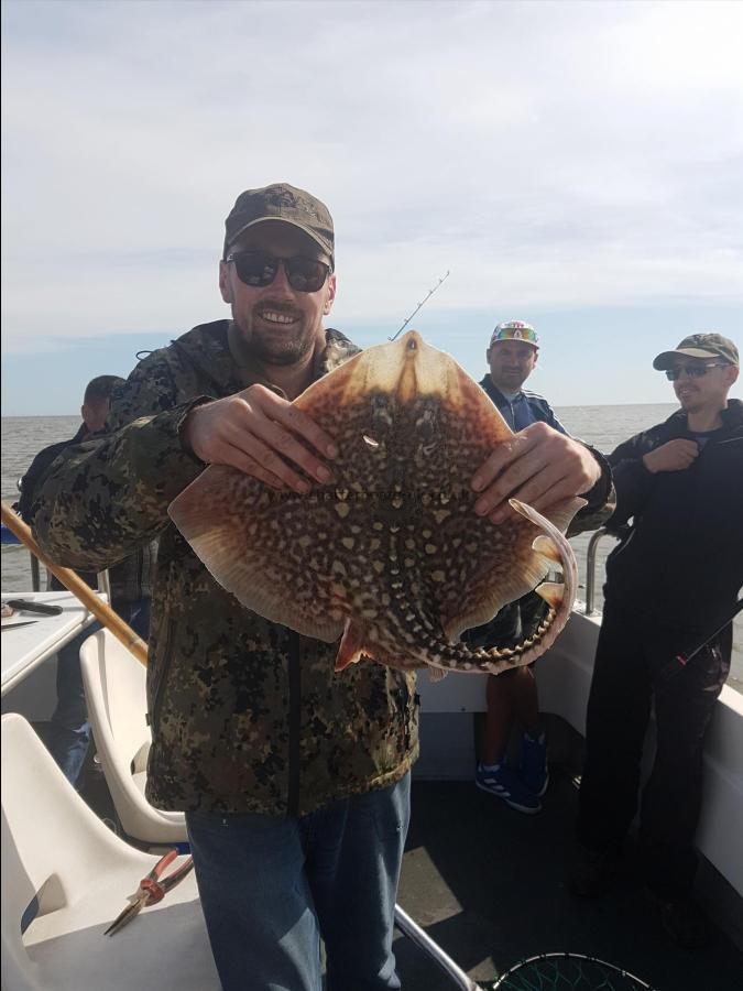 4 lb 5 oz Thornback Ray by Andrew Tarlton