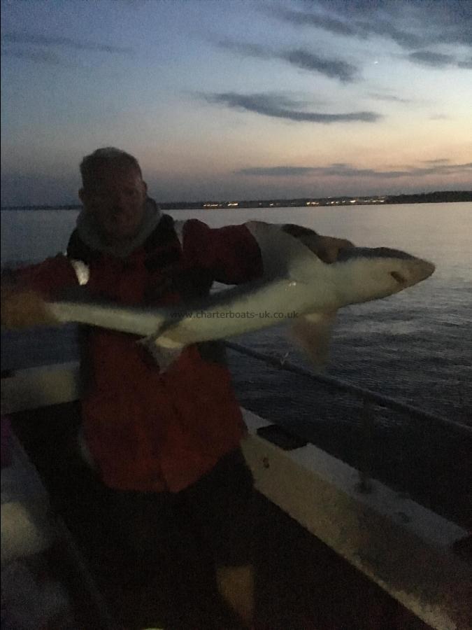 11 lb 9 oz Smooth-hound by Unknown