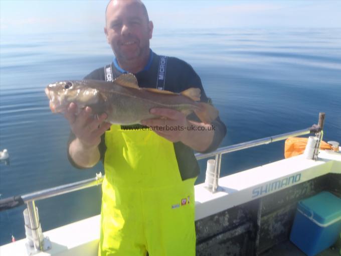 3 lb Cod by Unknown