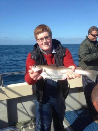 2 lb Whiting by Sam LeBailey