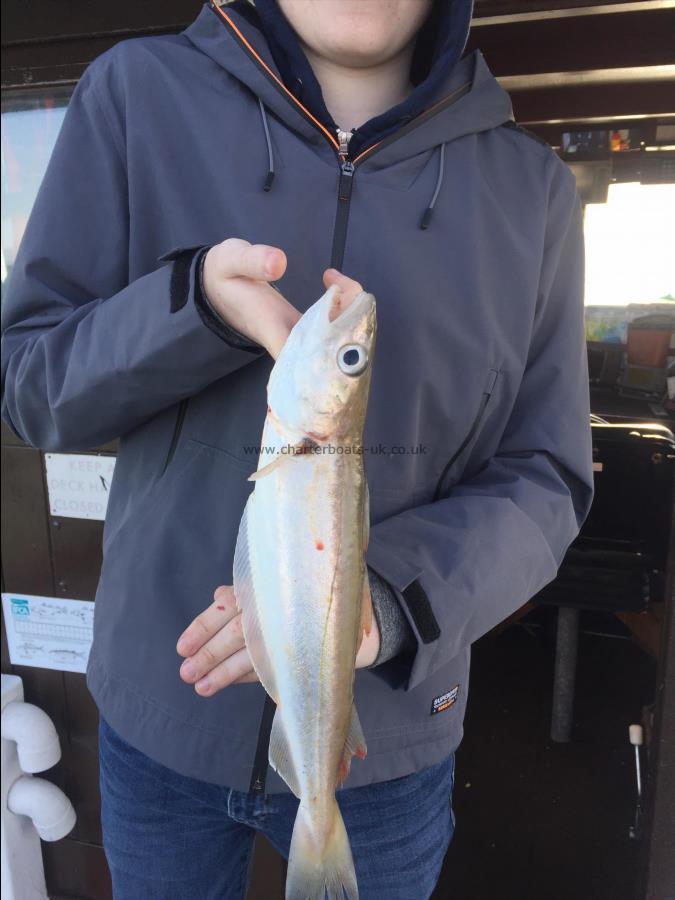 2 lb Whiting by Unknown