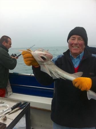 6 lb 7 oz Smooth-hound (Common) by Ted