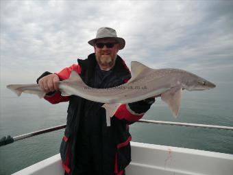 12 lb 2 oz Starry Smooth-hound by Colin Johnstone