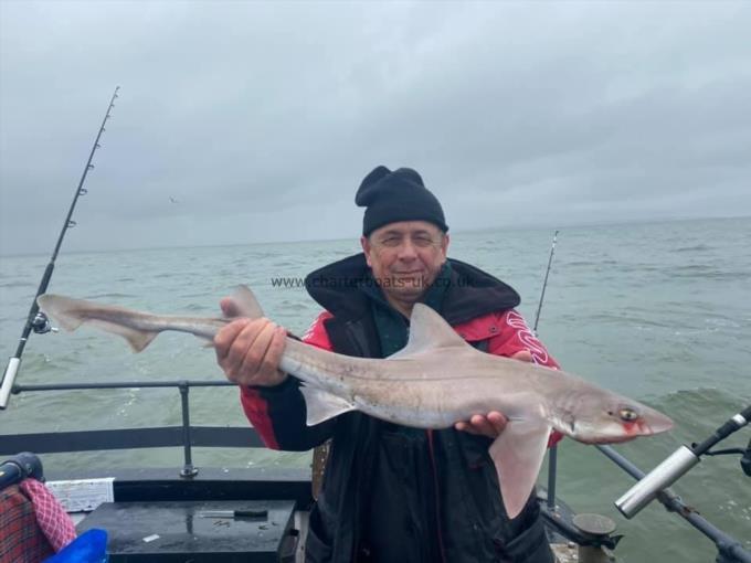 9 lb Smooth-hound (Common) by Unknown