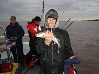 2 lb Whiting by Josh Colley