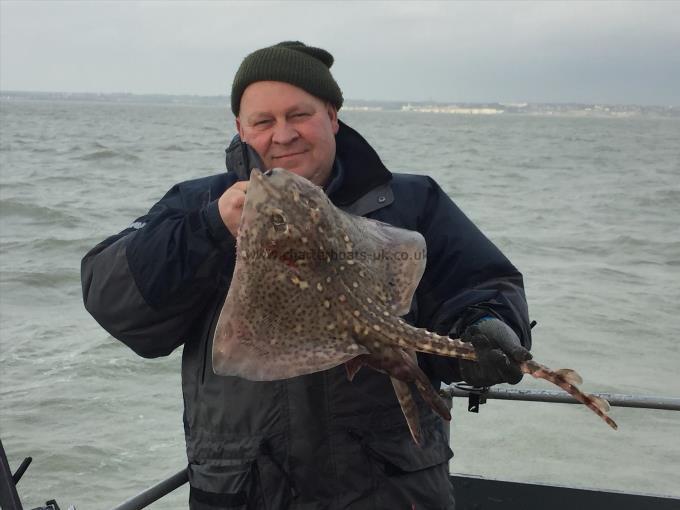 5 lb Thornback Ray by Unknown