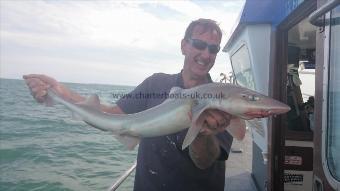 14 lb 2 oz Smooth-hound (Common) by mark from Kent