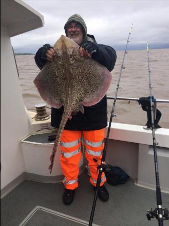 15 lb Thornback Ray by Unknown