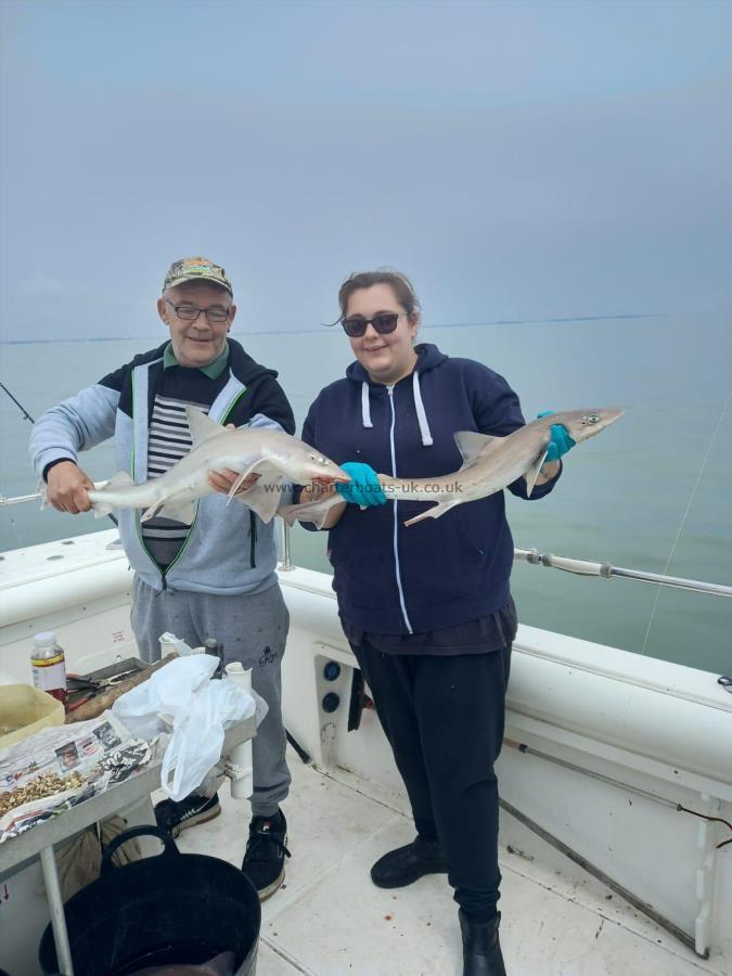 4 lb Smooth-hound by Unknown