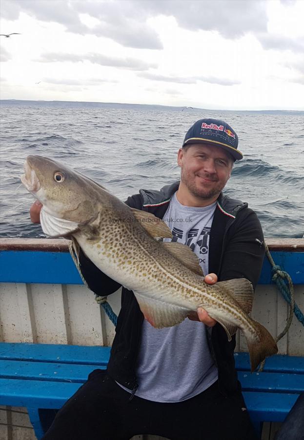 10 lb 8 oz Cod by Unknown