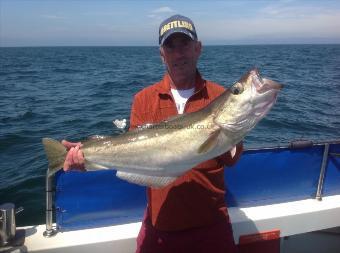 15 lb Pollock by Nick Steveson