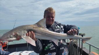 14 lb Starry Smooth-hound by Dan