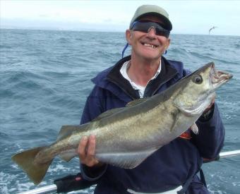 12 lb Pollock by Dodgey Dave Barton