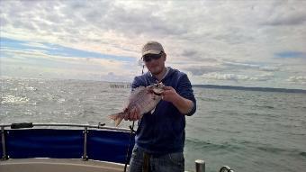 2 lb Black Sea Bream by Stephen Wake