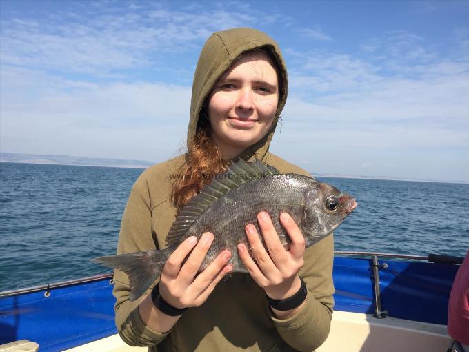 3 lb Black Sea Bream by Ruby