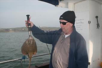 2 lb 8 oz Spotted Ray by Unknown