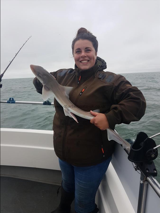 4 lb Starry Smooth-hound by Becky