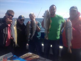 8 lb Cod by Unknown