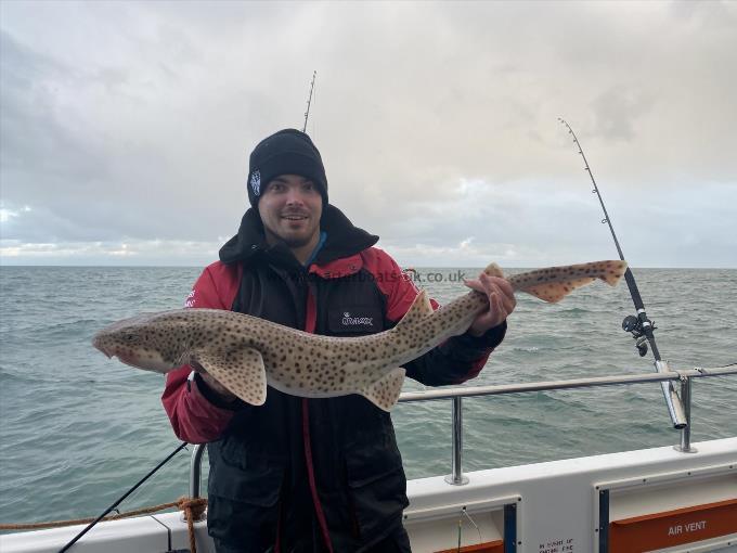 11 lb 3 oz Bull Huss by Chris Hawkins