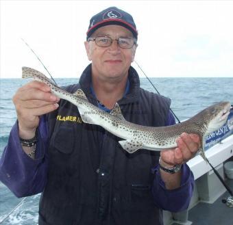 2 lb 8 oz Lesser Spotted Dogfish by Andy Collings