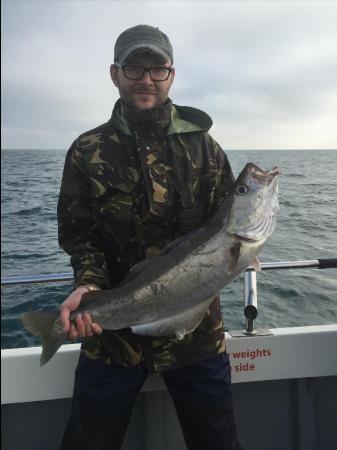 13 lb 4 oz Pollock by Unknown