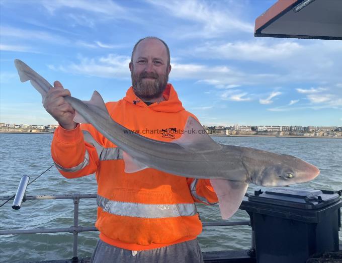 9 lb Smooth-hound by Unknown
