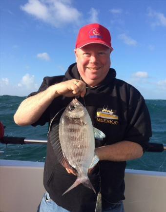 3 lb Black Sea Bream by Scott Shepard