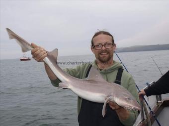 13 lb 6 oz Smooth-hound (Common) by Unknown