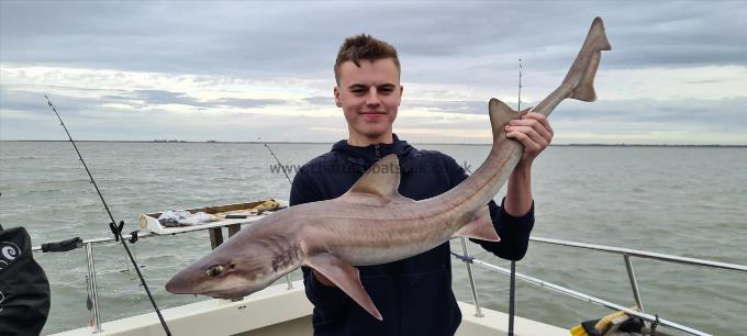 12 lb 5 oz Smooth-hound (Common) by Jordan