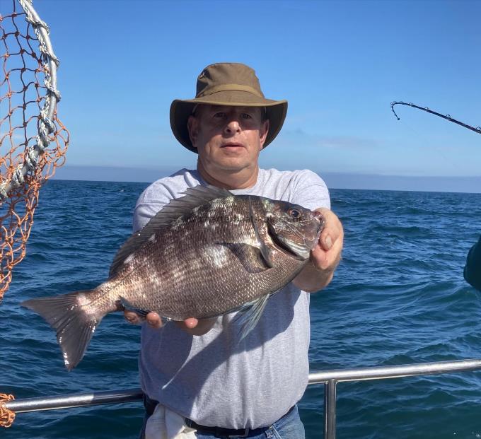 4 lb 3 oz Black Sea Bream by Kevin Turner