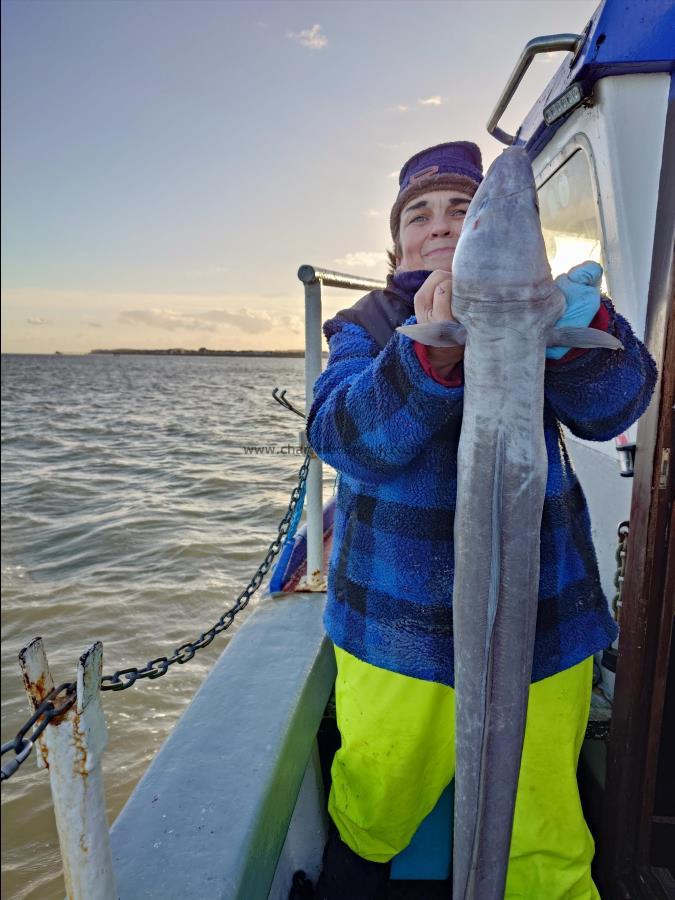 14 lb Conger Eel by Theresa