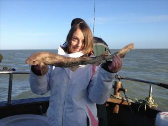 2 lb 4 oz Lesser Spotted Dogfish by Kayleigh