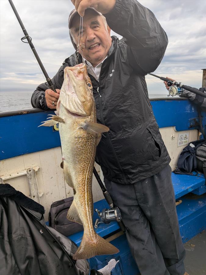 5 lb 1 oz Cod by Unknown