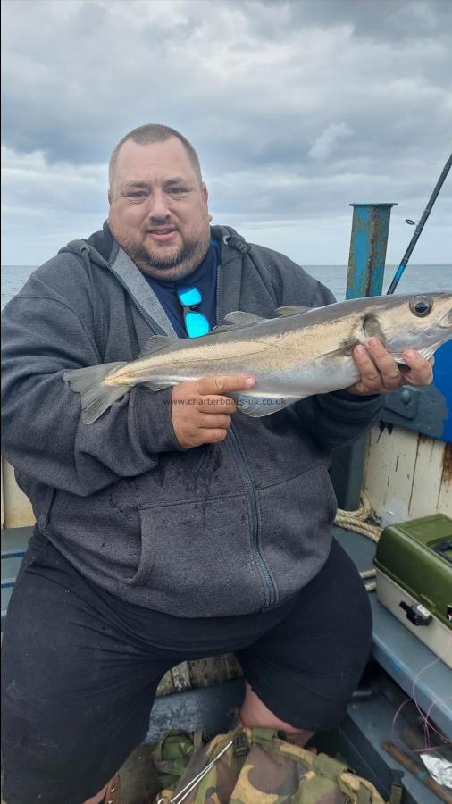 4 lb 12 oz Pollock by Unknown