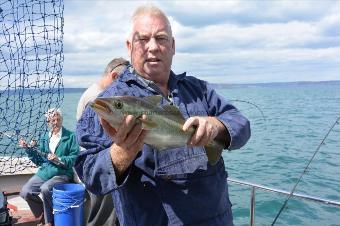 4 lb Pollock by Stephen Wake