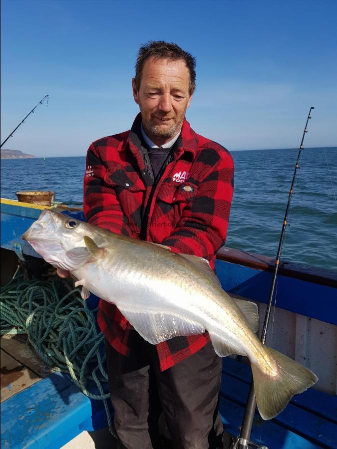 6 lb 2 oz Pollock by Unknown