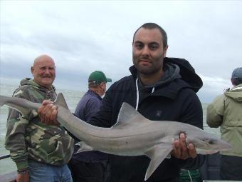 2 oz Smooth-hound by Unknown
