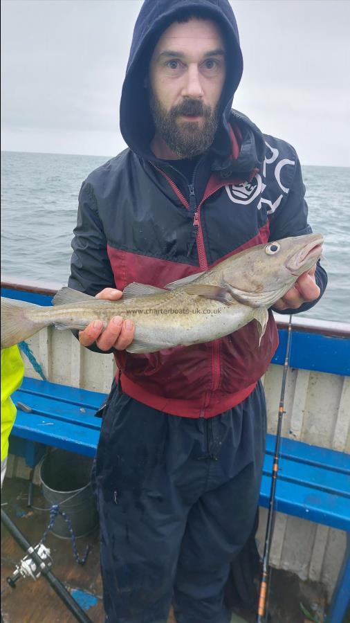 4 lb 3 oz Cod by Unknown