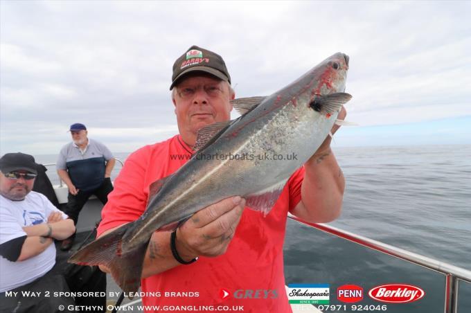 5 lb Coalfish (Coley/Saithe) by Brooksy