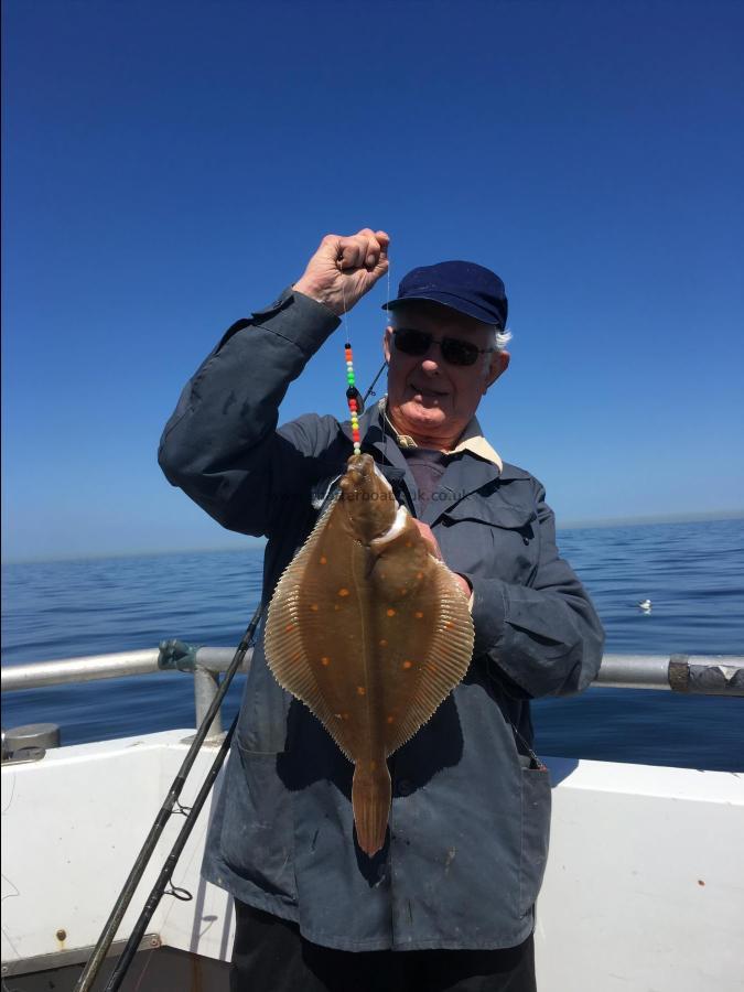 2 lb Plaice by Unknown