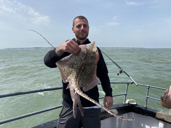 7 lb Thornback Ray by Unknown