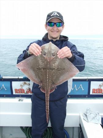 8 lb 5 oz Thornback Ray by Bradley Smith