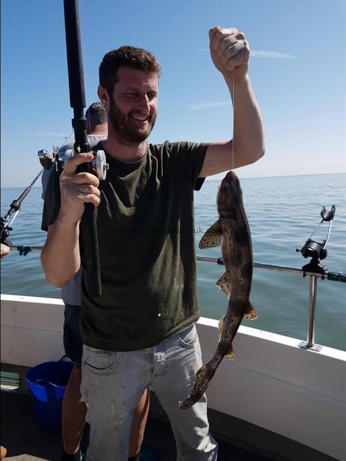 2 lb Lesser Spotted Dogfish by Pete