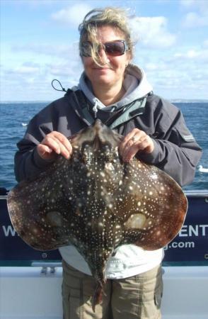 11 lb Undulate Ray by Karen Goble