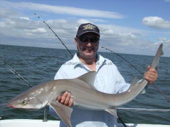 19 lb 2 oz Smooth-hound (Common) by neil cocks