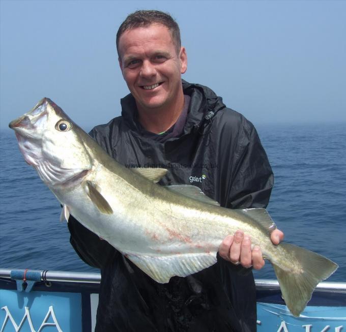 8 lb 1 oz Pollock by Darren Battams