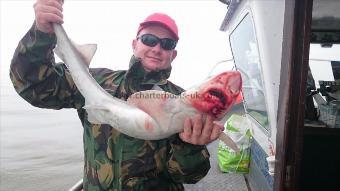 10 lb Starry Smooth-hound by Paul the paramedic
