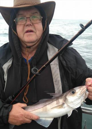 2 lb 8 oz Haddock by brian