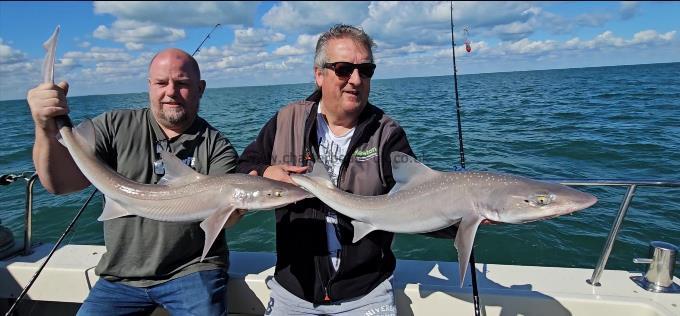 7 lb Smooth-hound by Dan