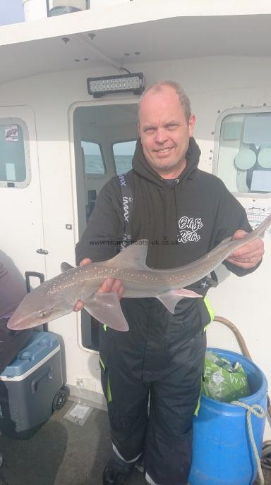 6 lb Smooth-hound (Common) by Paul Beavis